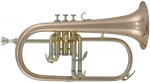 Roy Benson FH-302G Bb Student Flugelhorn
