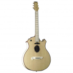 Akustinė gitara PARKER P-10EN