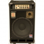 STIPRINTUVAS BOSINEI GITARAI EDEN ENC-112 (250 W)