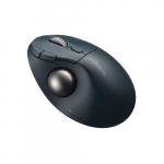 Ergonominė kompiuterinė pelė Kensington ProFit Ergo TB550