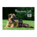 Pie&scaron;imo sąsiuvinis A4, 20 lapų, 120g