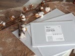 Drobė ant kartono 10x10 cm, 300g Phoenix