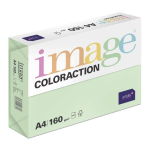 Popierius Image Coloraction A4 160g 250 lapų Forest / Pastel Green