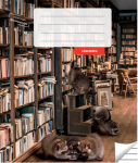 Literatūros sąsiuvinis, linijomis, 36 lapai. Vidinių lapų gramatūra &ndash; 90 g/m2.