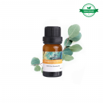 Natūralus eukalipto eterinis aliejus, 10ml