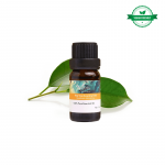Natūralus arbatmedžio eterinis aliejus, 10ml
