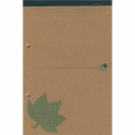 Bloknotas A4, 80 lapų langeliais KRAFT