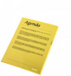 Vokeliai Esselte A4, L formos, geltoni, 10 vnt.