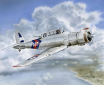 Special Hobby SH72217 - Blackburn Skua Mk.II Silver Wing, 1/72
