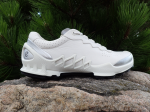 Ecco Biom Aex