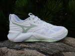 Mizuno Wave Momentum Pro