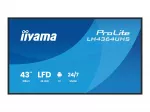 IIYAMA 43inch 3840x2160 UHD VA DLED panel Haze 25percent 500cd/m2 Landscape and Portrait Speakers 2x 10W 2x HDMIx 1x USB-C DP