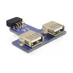 DeLOCK 9-pin 2.54 mm/2 x USB 2.0