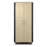 APC AR4032IA rack cabinet