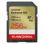 SanDisk Extreme GO