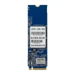 SSD - 256 GB - internal - M.2 - M.2 Card