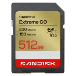 SanDisk Extreme GO
