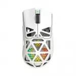 White Shark MORIEN WGM-5025 White