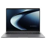 ASUS ExpertBook P3 PM3606CKA-MB0196X Copilot+ PC