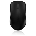 Rapoo 1620 mouse