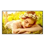 LG 55UL5Q-E Signage Display
