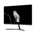 Thomson M27FC12401 computer monitor