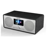 Panasonic RF-D40EG-K radio