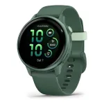 Garmin v&iacute;voactive 6
