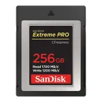 SanDisk SDCFE-256G-GN4NN memory card