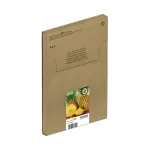 Epson 604 EasyMail ink cartridge