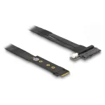 DeLOCK 64216 interface cards/adapter