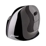 Evoluent VMDSW mouse