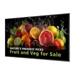 Philips 5000 series 65BDL5050D/00 Signage Display