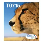 Epson T071 ink cartridge