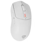 GENESIS Zircon 500 G2 mouse