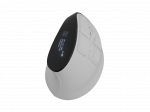 Natec Mouse   Euphonie Pro   Wireless   2.4 GHz, Bluetooth   White
