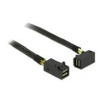 DeLOCK 0.5m, 2xMini SAS HD SFF-8643