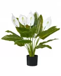 Dirbtinis augalas SPATHPHYLLUM 70 cm žalias