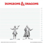 D&D Nolzur's Marvelous Miniatures: Knight & Mage Apprentice Figurėlės