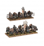 WH WARRIORS OF CHAOS: CHAOS MARAUDERS