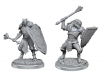 D&D Nolzur's Marvelous Miniatures: Dragonborn Clerics (Figūrėlės)