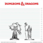 D&D Nolzur's Marvelous Miniatures: Human Druid & Elf Sorcerer miniatūros