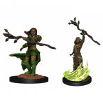 D&D Dungeons and Dragons Nolzur's Marvelous Miniatures: Human Druid Female