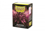 Dragon Shield Sleeves - Standard size - Matte Dual - Blossom (100 Įmaučių)