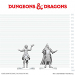 D&D Nolzur's Marvelous Miniatures: Knight & Mage Apprentice - miniatiūra