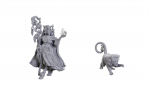 Critical Role Unpainted Miniatures: Fearne Calloway & Mister (Figūrėlės)