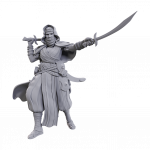 Pathfinder Deep Cuts: Desert Giant (Figūrėlė)