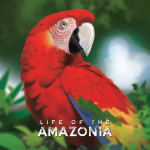 Life of the Amazonia (2023) Stalo Žaidimas