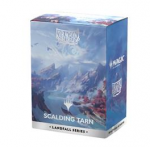 Dragon Shield Standard size - Landfall Series - Scalding Tarn (100 Įmaučių)