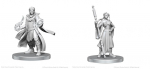 Critical Role Unpainted Miniatures: Beauregard Lionett & Caleb Widogast (Figūrėlės)
